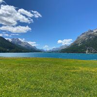 Silvaplanersee
