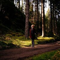 Weg zum Mathisleweiher