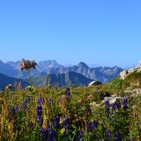 Fantasisches Ifenpanorama