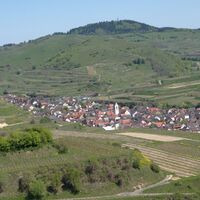 Blick von der Mondhalde über Oberbergen und den Badberg zum Eichelspitzturm