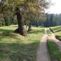 nach dem Felixer Weiher/Lago di Tret