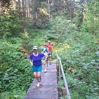 Brücke nach Schwandtenbuch - Riffenmatt-Pfyffe Trailrun