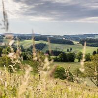 Aussicht beim Gipfeltrail