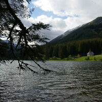 Sche woas