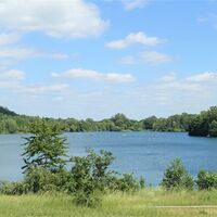 Vienenburger See