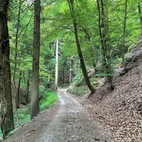 Jauerling-Runde 03: Maria Laach-Emmersdorf