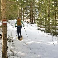 Der Weg ist gut markiert