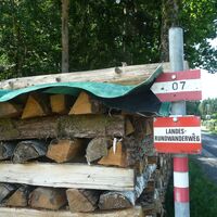 der Weg