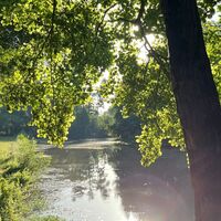 Agenda en ligne - SBT - 8