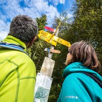 Wegweiser Wandern