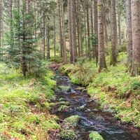 Im Morgental unterwegs