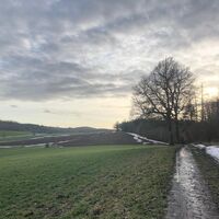 Am Eichenberg_B. Geuecke