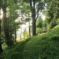 Wiesenweg im Rohrmooser Untertal