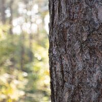 Natur ganz nah erleben