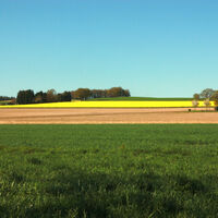 Felder bei Sonsbeck