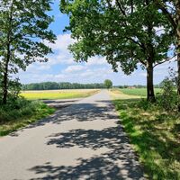 Anfahrt nach Holthusen II