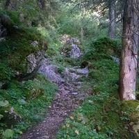 Über Steine und Wurzeln