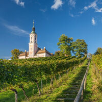 Treppenweg durch die Weinreben - Basilika Birnau