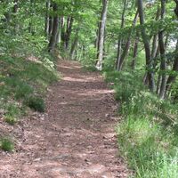 Weg zu den Taubenlöchern