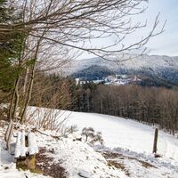 Schöne Aussicht genießen auf einer Sitzbank am Waldrand oberhalb vom Kirchberg