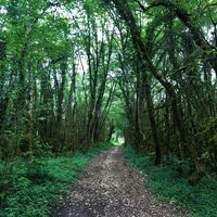 Weg zum See von Chailloux