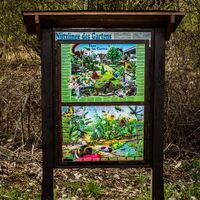 Schautafel am Naturlehrpfad