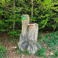 Wegweisung Nr. 1 folgen