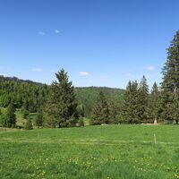 Vorbei an Wald und Wiesen