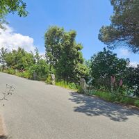 Schöne Straßenbegrenzung und Bewuchs