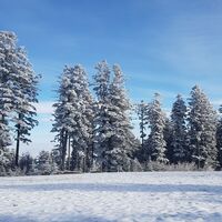Masenberg Winterwandern in der Oststeiermark
