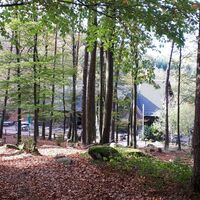 Wanderheim Dicke Eiche im goldenen November