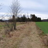 Feldweg nach Reitzenschlag