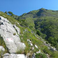Bergwiesen