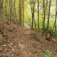 Waldweg nach Chvalatice