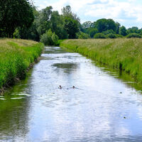 Weserauen Große Aue Naherholungsgebiet