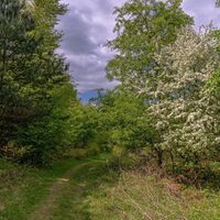 Münchweiler Höhenwanderweg