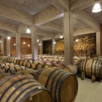 Keller des Weinguts Tement
