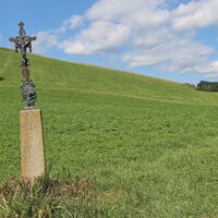 Der Weg führt über die Wiese