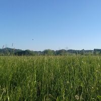Blick nach Halbersberg