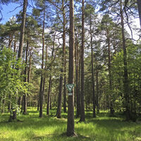 Naturschutzgebiet