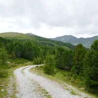nicht mehr weit, überall duftet es nach Pilzen
