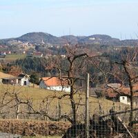 Blick auf St. Oswald und Schloss Plankenwarth