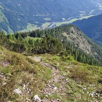 Der Weg im Latschenbereich, weiter unten sieht man immer noch die Lichtung.