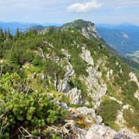 Rückblick