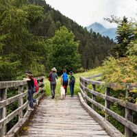 virgental11_etappe3_iseltrail_juli2020_c_ramona_waldner.jpg