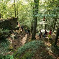 Naturpark-Augenblick-Runde Holzbronn_Verwunschene Pfade