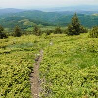 Vitosha, Sofia