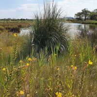 Wanderung la Tamarissière