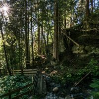 Waldpassage der Untertaler Aussichtsrunde