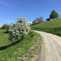 st. pongratzen–svetij duh – der (um)weg ist das ziel._img_52325052